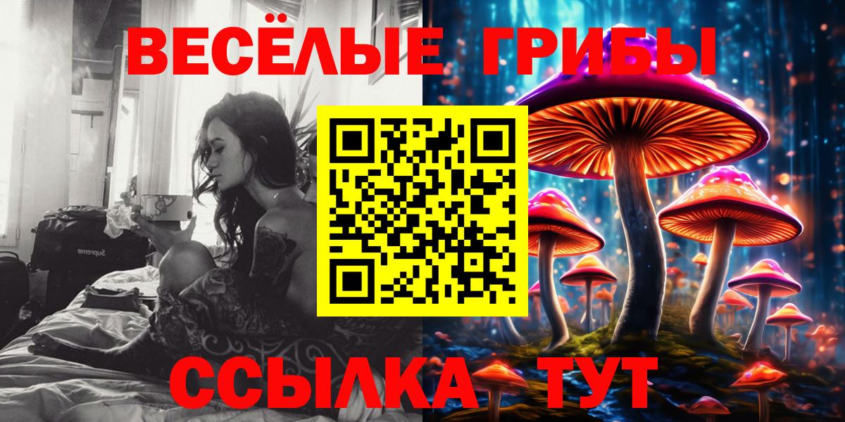 Псилоцибиновые грибы мухоморы  Вход с VPN  Менделеевск  Псилоцибиновые грибы мицелий 