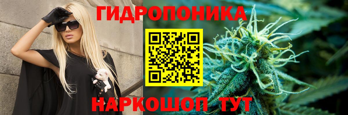 Менделеевск  Шишки марихуана сатива  Вход с VPN  Шишки марихуана THC 21%  Бошки марихуана LSD WEED 
